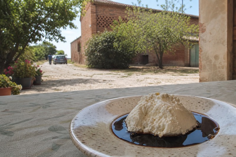 Fresh ricotta with a dark pool of balsamic on a speckled plate outside a red-brick farmyard near Nonantola