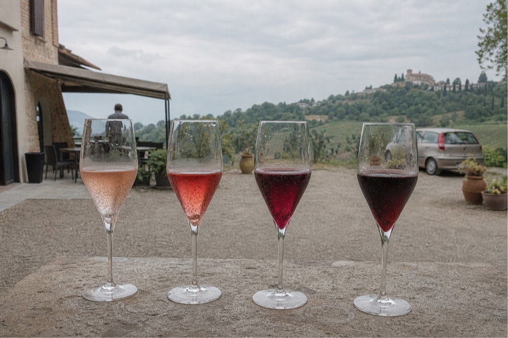 Four glasses of sparkling wine in a row showing shades from pale pink to deep ruby on a cellar counter
