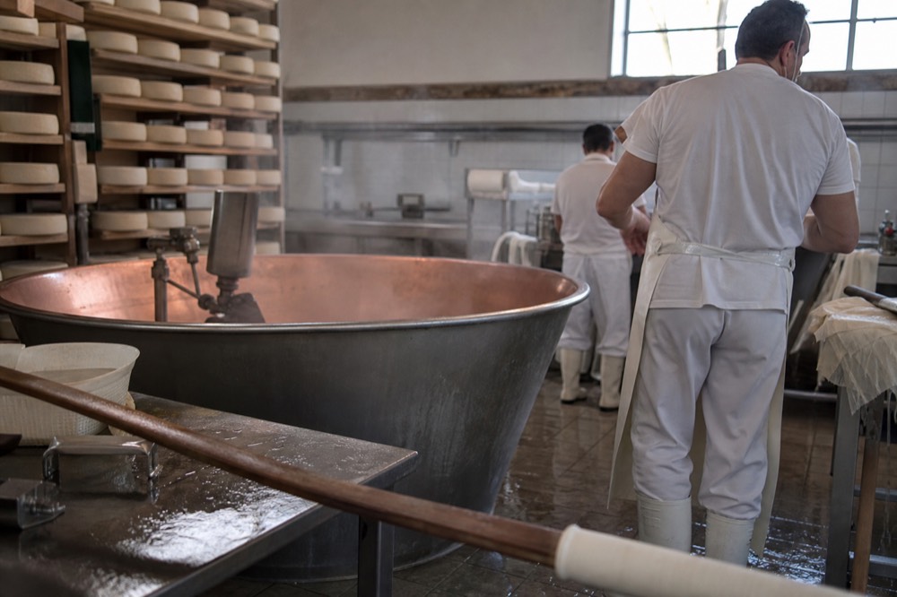 A copper vat and cheesemaking tools inside a working dairy with wheels of cheese on shelves behind