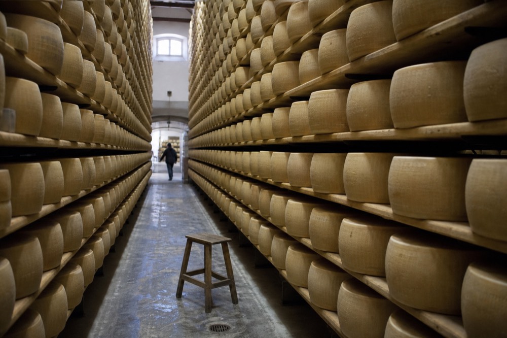 Rows of Parmigiano Reggiano wheels resting on wooden shelves in a dairy ageing room