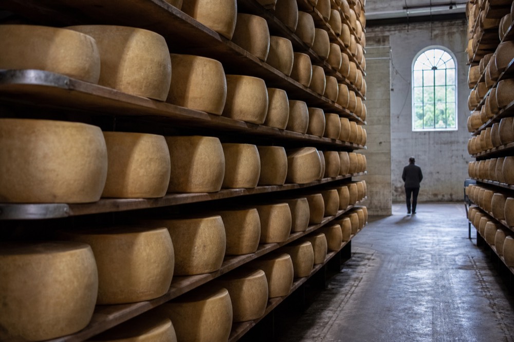Rows of Parmigiano Reggiano wheels resting on wooden shelves in an ageing warehouse