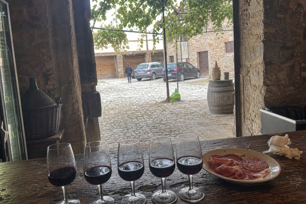 Glasses of dark red Lambrusco lined up on a tasting counter beside a plate of salumi