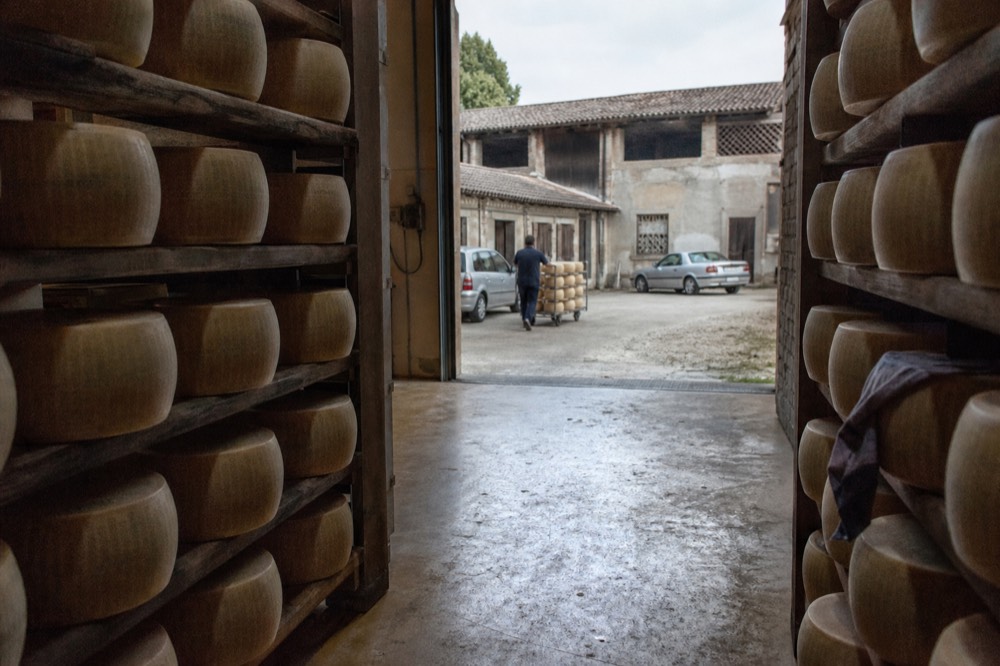 Rows of Parmigiano Reggiano wheels stacked on tall wooden racks in a dim ageing warehouse