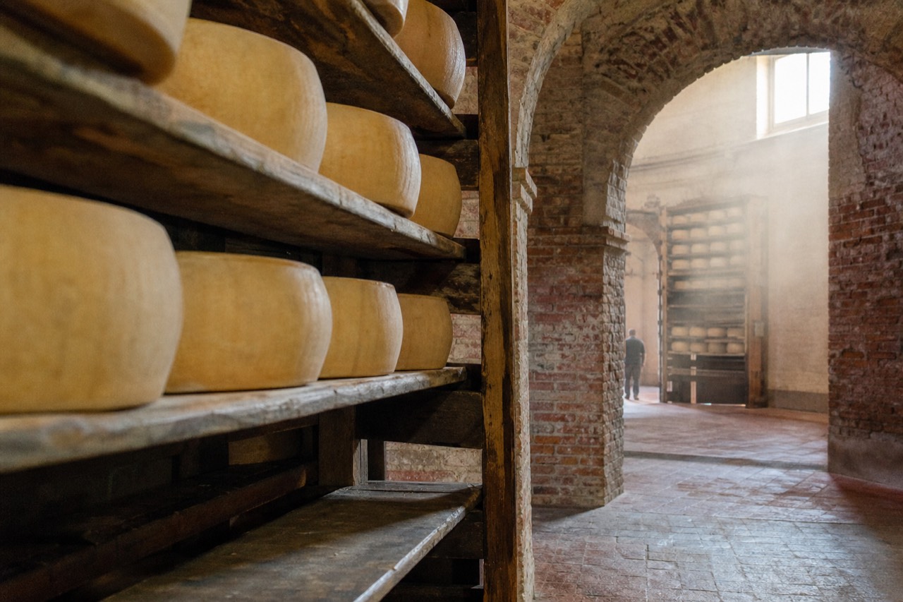 Whole wheels of aged Parmigiano Reggiano resting on wooden shelves in a dairy ageing room