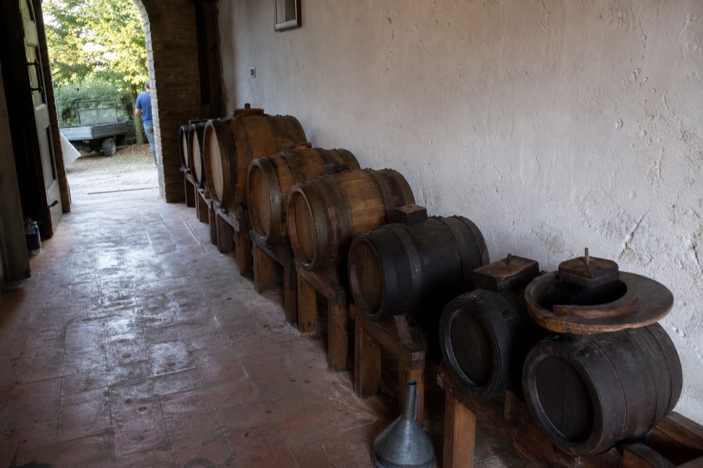 A graded sequence of small wooden ageing barrels in a Modena acetaia loft