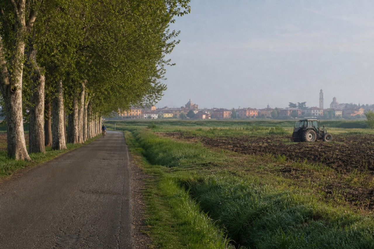 A straight country road lined with plane trees crossing farmland toward a town on the horizon