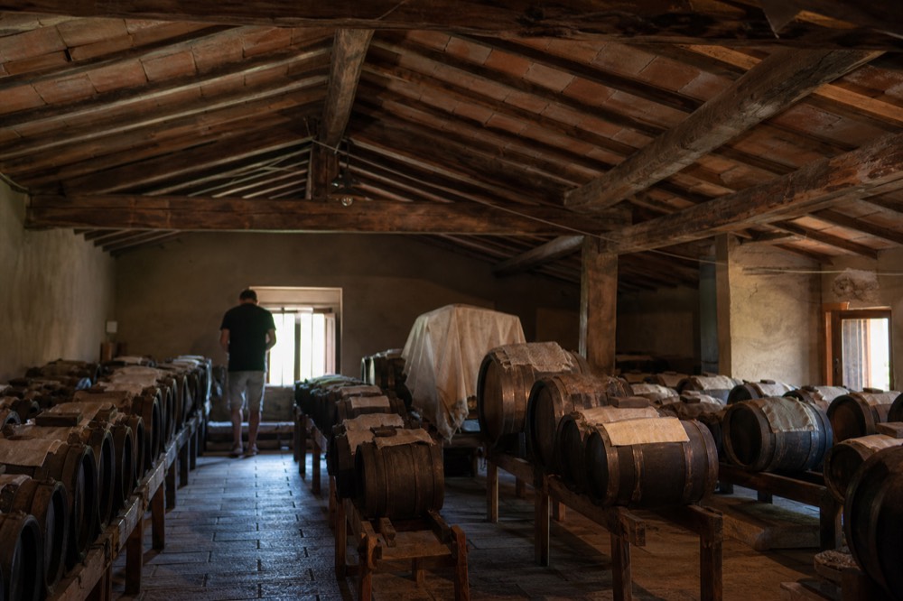 Rows of wooden ageing barrels in a traditional balsamic vinegar loft
