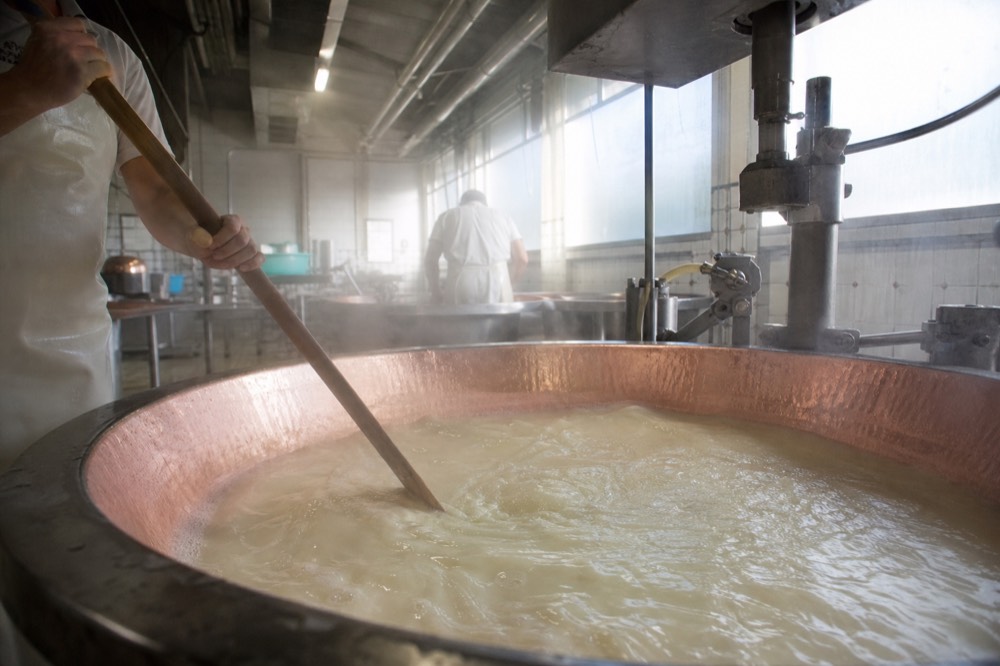 Copper vats and steaming whey in a working cheese dairy