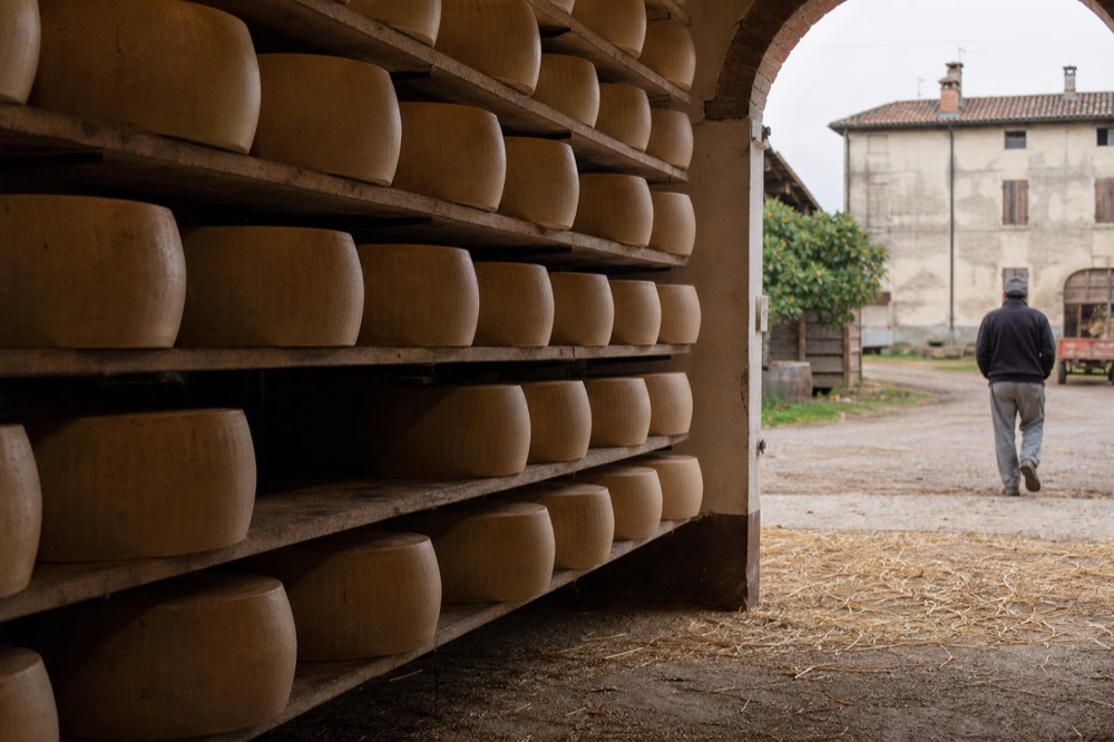 A row of ageing Parmigiano Reggiano wheels stacked on wooden shelves in a dairy storehouse