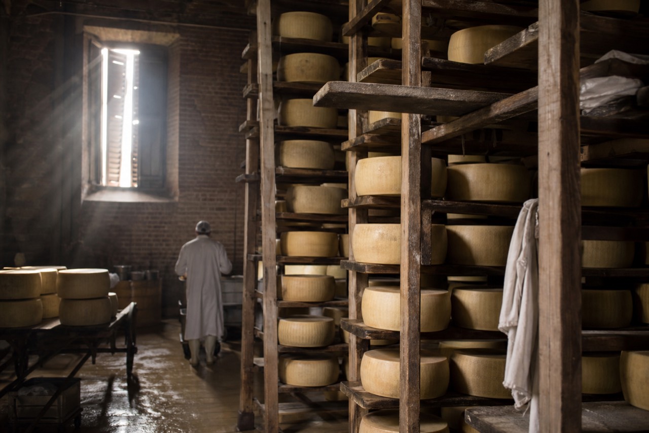 Aged cheese wheels stacked on wooden shelves in a dim dairy ageing room