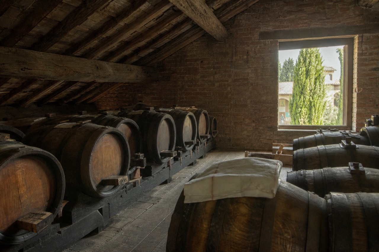 A quiet attic loft in Modena with rows of small wooden barrels resting under a sloped roof