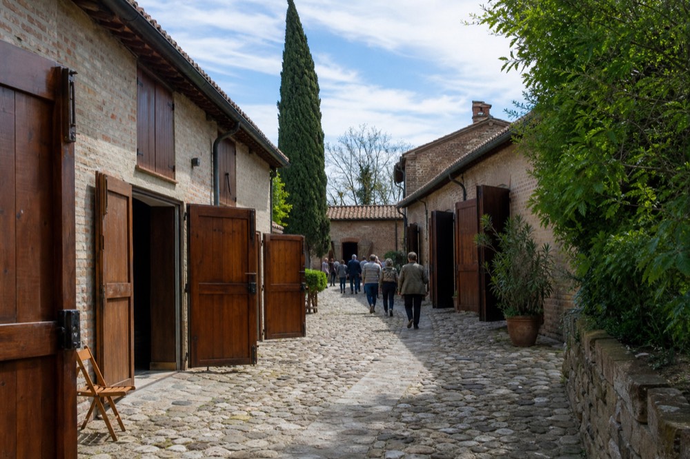 Crowd of visitors walking between open cellar doors at an acetaie open day event