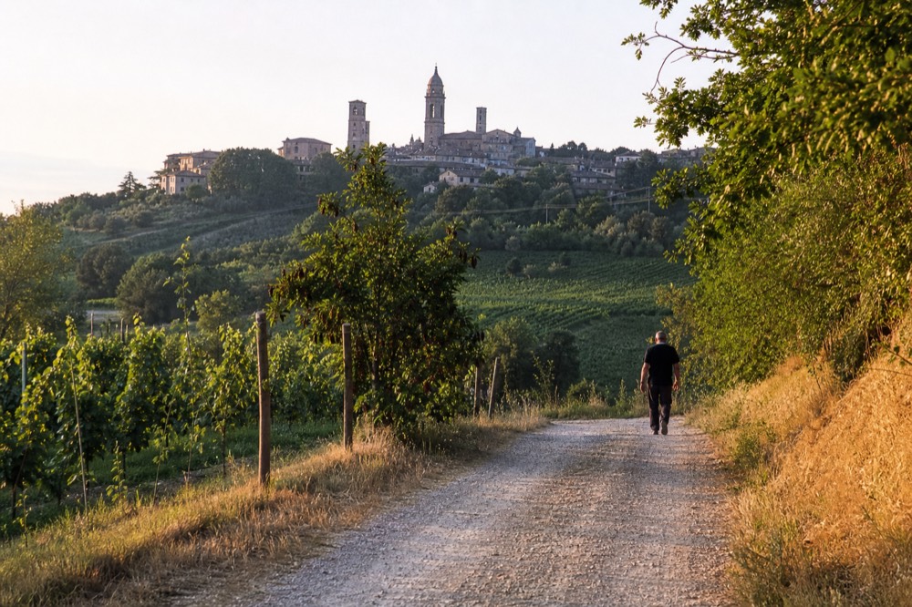 Hilltop Italian village with stone towers and terracotta roofs above rows of vineyards