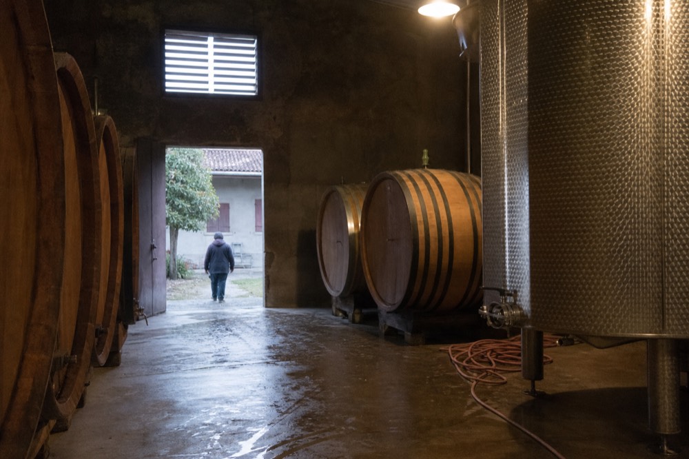 Oak barrels and steel tanks inside a working Lambrusco cellar