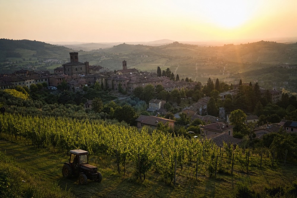 An evening view over Lambrusco vineyards on the hills south of Modena