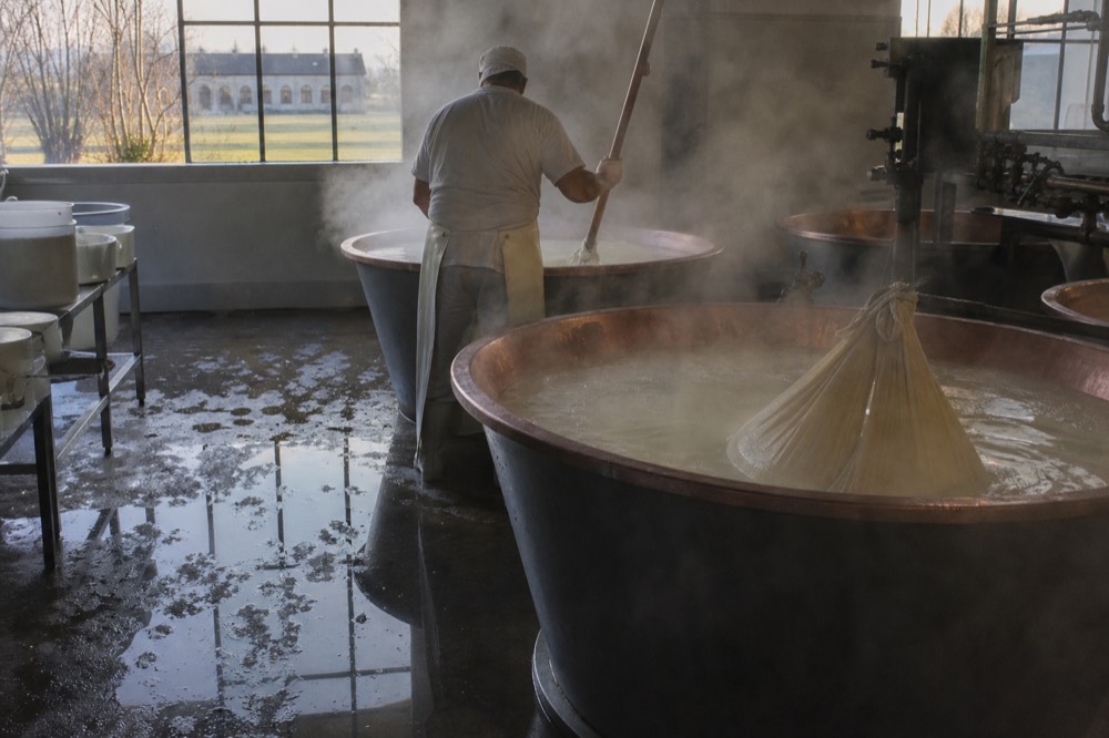 Copper vats and steaming milk in a working cheese dairy production room