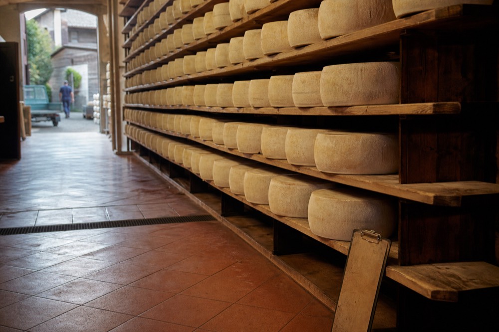 Rows of Parmigiano Reggiano wheels resting on wooden shelves in an ageing warehouse
