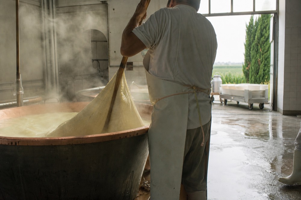 A cheesemaker lifting curd with a wooden paddle from a copper vat