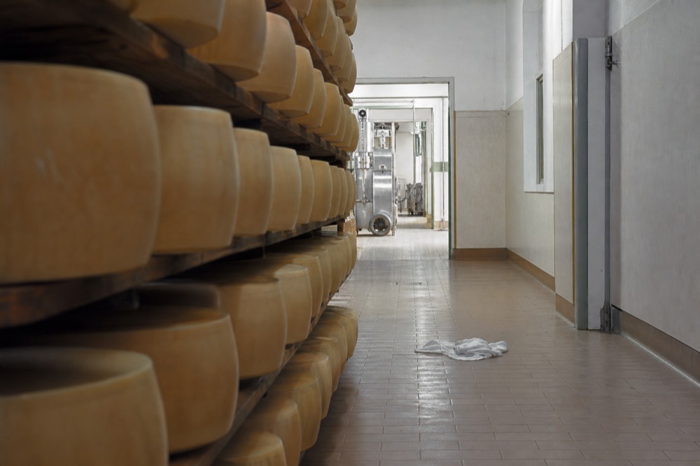 Rows of aging Parmigiano Reggiano wheels stacked on wooden shelves inside a dairy