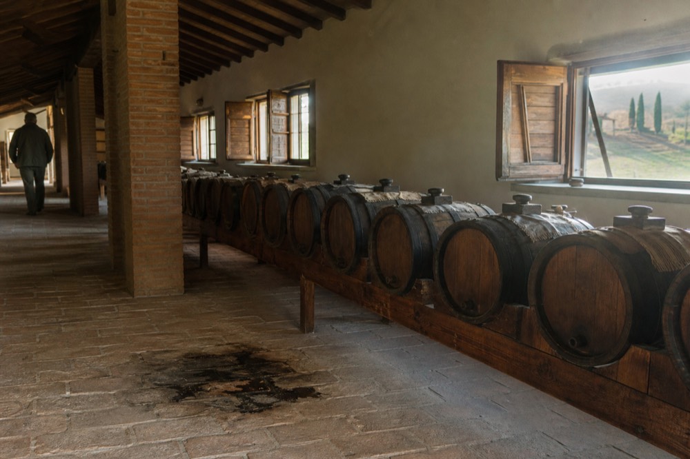 A graded battery of small wooden ageing barrels arranged in a row inside a Modena acetaia loft