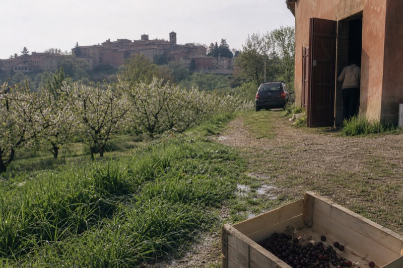 When to book section image on seasonal timing for acetaia visits, cellar tours and market walks in Modena