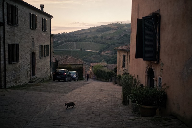 Why here section image explaining why Modena is a destination for balsamic vinegar, Parmigiano Reggiano and Lambrusco